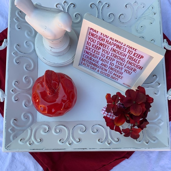 Metal Display Tray - White - Picture 4 of 5